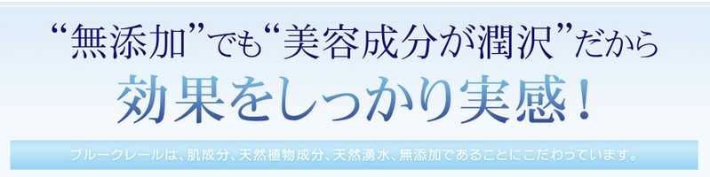 �u���[�N���[���@�I�[�K�j�b�N���Y�����ϕi���T�C�g